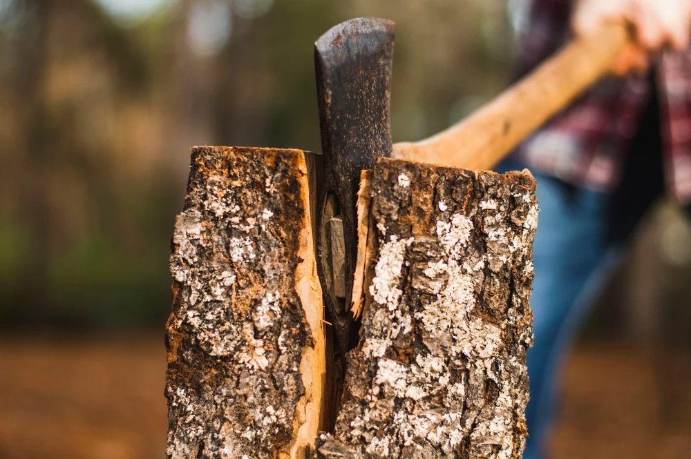 Holzschl&auml;ge im Bruchtaler Wald